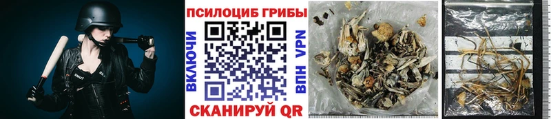 как найти закладки Верхняя Пышма Галлюциногенные грибы Magic Shrooms