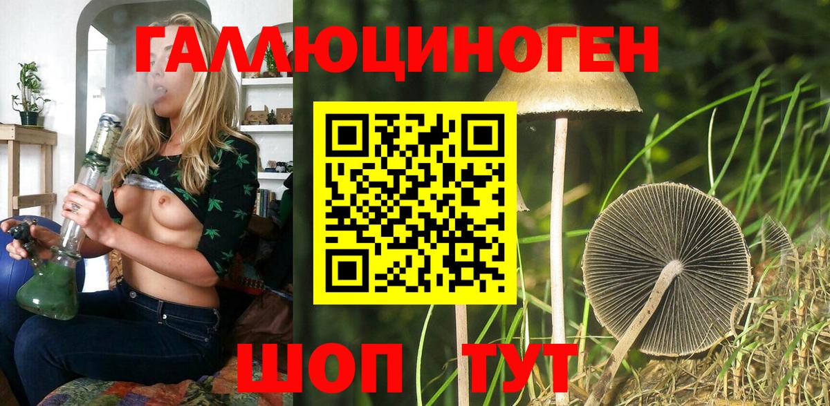 Псилоцибиновые грибы мицелий  Вход с VPN  Верхняя Пышма 