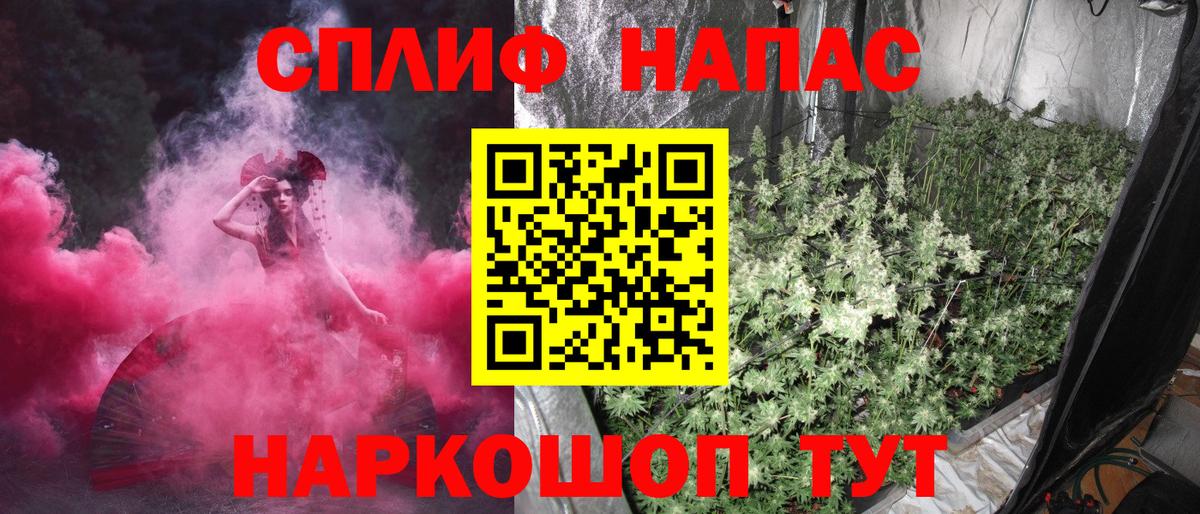 Канабис семена  Бошки Шишки марихуана  Верхняя Пышма  Вход с VPN  Марихуана семена 